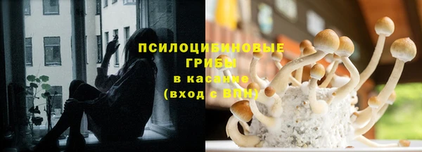 гашик Наволоки