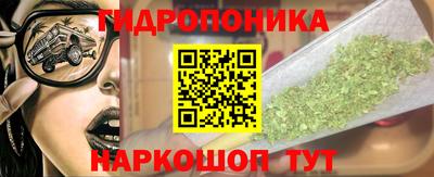 ПСИЛОЦИБИНОВЫЕ ГРИБЫ Гатчина