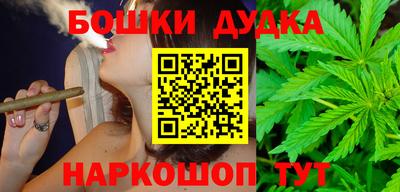 индика Гагарин