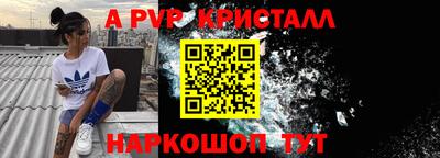 спайс Берёзовский