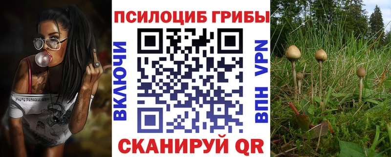 магазин Кострома Псилоцибиновые грибы прущие грибы