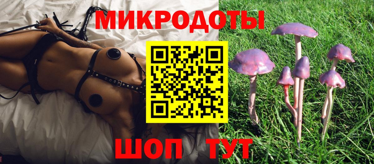 Псилоцибиновые грибы Psilocybe  Псилоцибиновые грибы прущие грибы  Кострома 