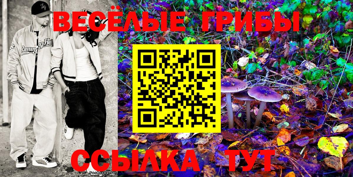 Галлюциногенные грибы мухоморы  Галлюциногенные грибы GOLDEN TEACHER  Кострома  Вход с VPN 