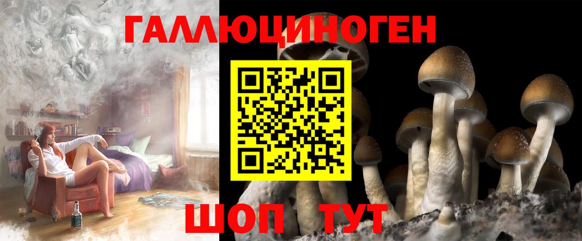 Псилоцибиновые грибы Magic Shrooms Кострома